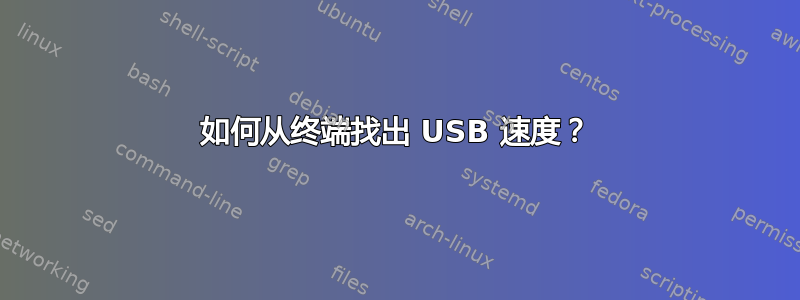 如何从终端找出 USB 速度？