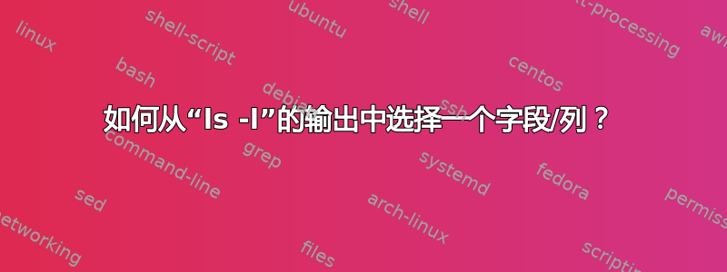 如何从“ls -l”的输出中选择一个字段/列？