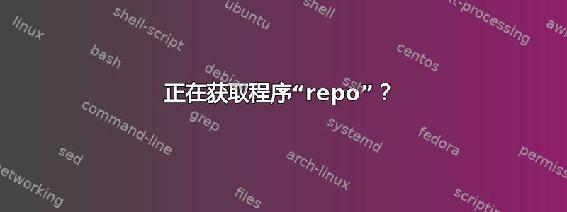 正在获取程序“repo”？