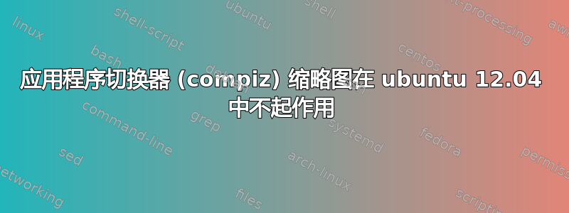 应用程序切换器 (compiz) 缩略图在 ubuntu 12.04 中不起作用