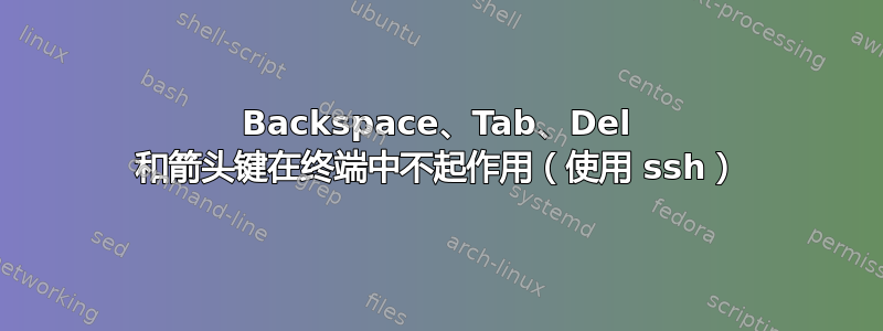 Backspace、Tab、Del 和箭头键在终端中不起作用（使用 ssh）