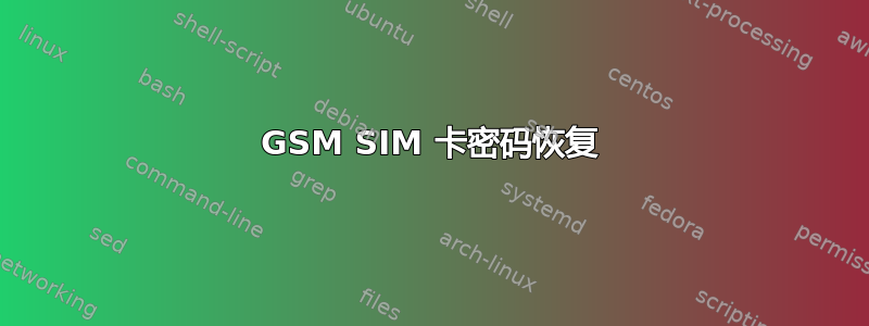 GSM SIM 卡密码恢复