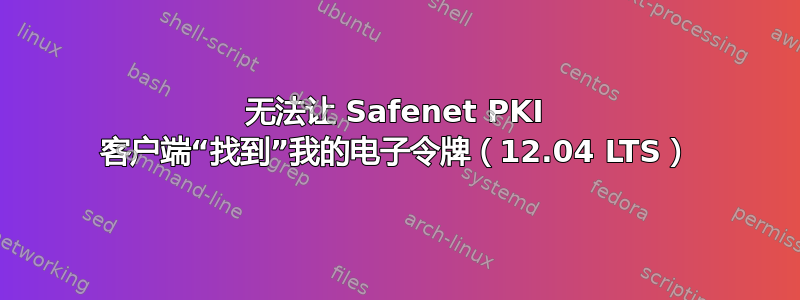 无法让 Safenet PKI 客户端“找到”我的电子令牌（12.04 LTS）