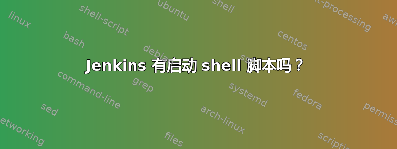 Jenkins 有启动 shell 脚本吗？