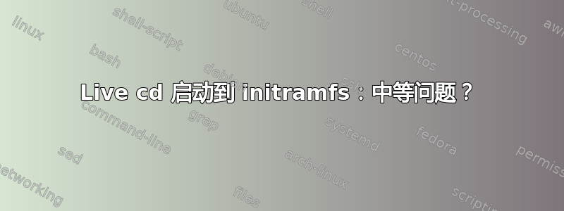 Live cd 启动到 initramfs：中等问题？