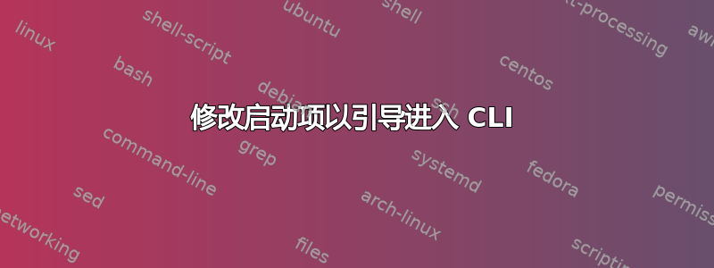 修改启动项以引导进入 CLI