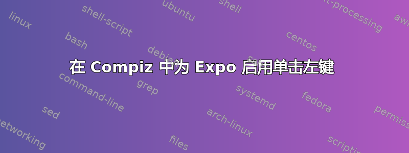 在 Compiz 中为 Expo 启用单击左键