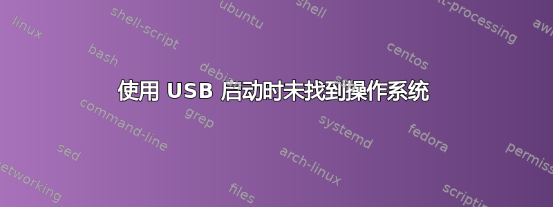 使用 USB 启动时未找到操作系统