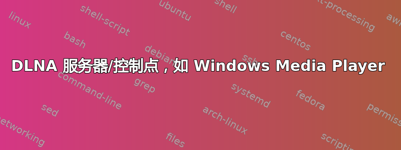 DLNA 服务器/控制点，如 Windows Media Player