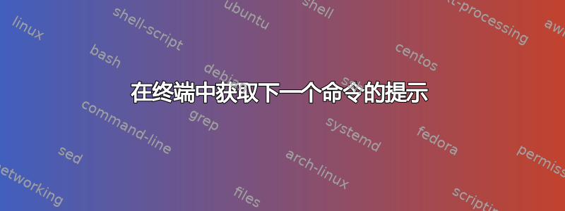 在终端中获取下一个命令的提示