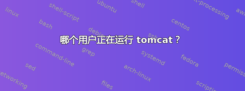 哪个用户正在运行 tomcat？