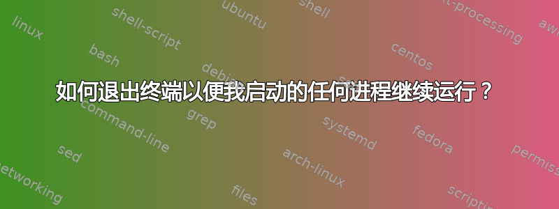 如何退出终端以便我启动的任何进程继续运行？