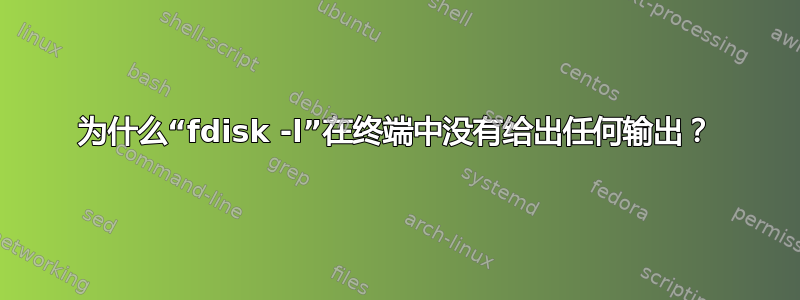 为什么“fdisk -l”在终端中没有给出任何输出？