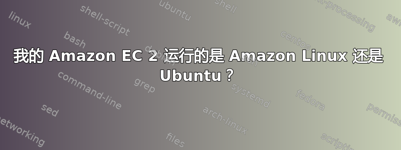 我的 Amazon EC 2 运行的是 Amazon Linux 还是 Ubuntu？