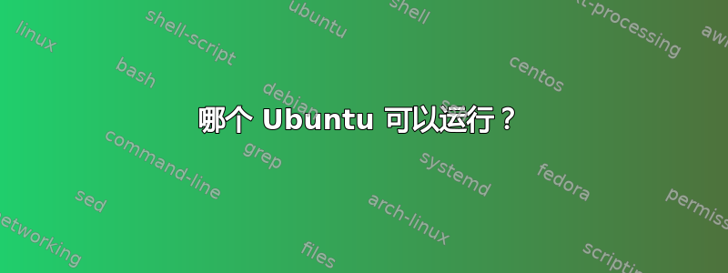 哪个 Ubuntu 可以运行？