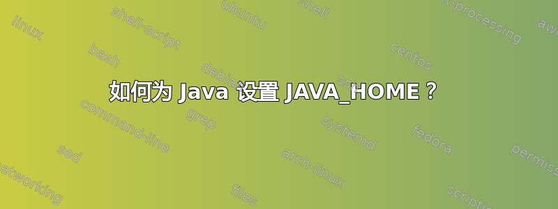 如何为 Java 设置 JAVA_HOME？