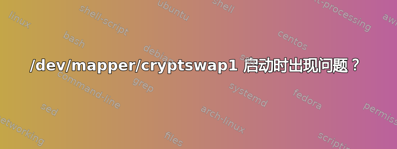 /dev/mapper/cryptswap1 启动时出现问题？