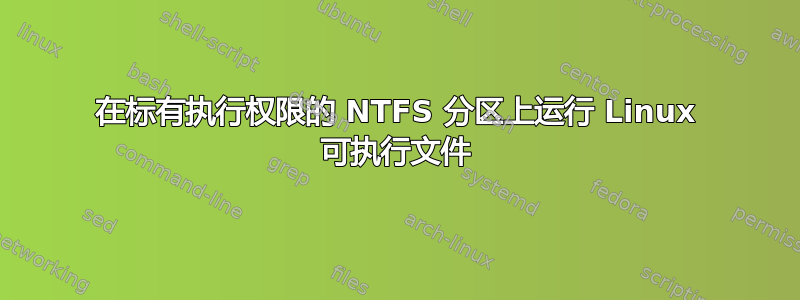 在标有执行权限的 NTFS 分区上运行 Linux 可执行文件