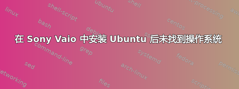 在 Sony Vaio 中安装 Ubuntu 后未找到操作系统