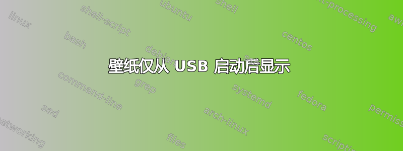 壁纸仅从 USB 启动后显示