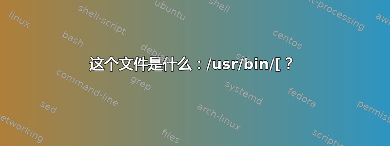 这个文件是什么：/usr/bin/[？