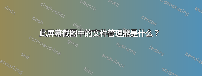 此屏幕截图中的文件管理器是什么？