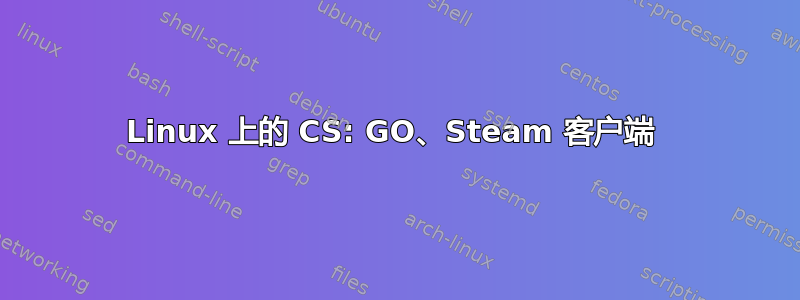 Linux 上的 CS: GO、Steam 客户端 