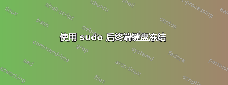 使用 sudo 后终端键盘冻结