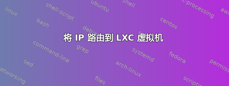 将 IP 路由到 LXC 虚拟机