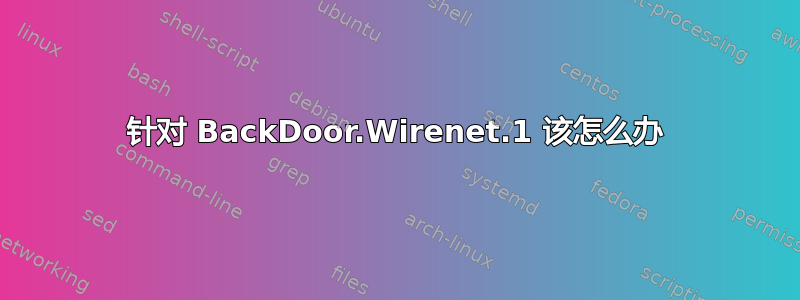 针对 BackDoor.Wirenet.1 该怎么办