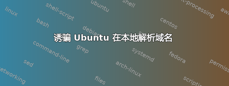 诱骗 Ubuntu 在本地解析域名