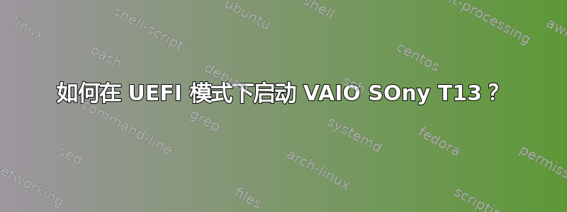 如何在 UEFI 模式下启动 VAIO SOny T13？