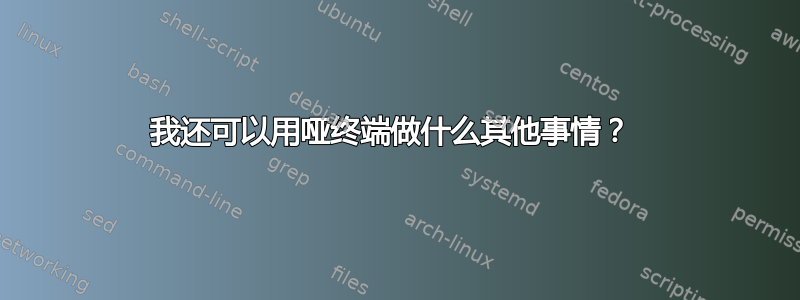 我还可以用哑终端做什么其他事情？ 