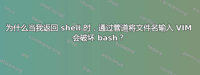 为什么当我返回 shell 时，通过管道将文件名输入 VIM 会破坏 bash？