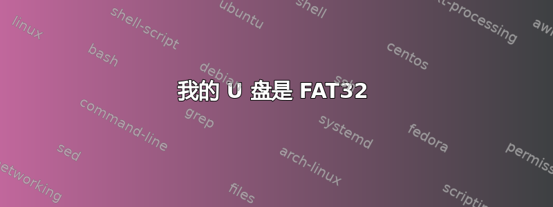 我的 U 盘是 FAT32