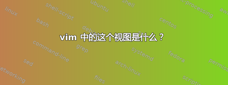 vim 中的这个视图是什么？