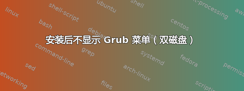 安装后不显示 Grub 菜单（双磁盘）