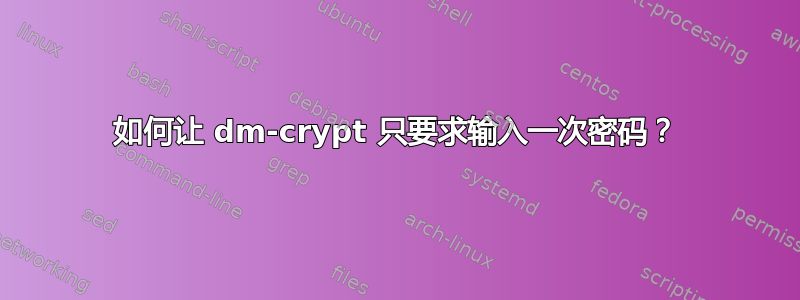 如何让 dm-crypt 只要求输入一次密码？