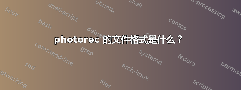 photorec 的文件格式是什么？