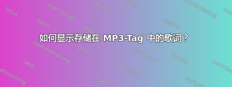 如何显示存储在 MP3-Tag 中的歌词？