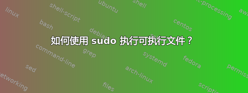 如何使用 sudo 执行可执行文件？