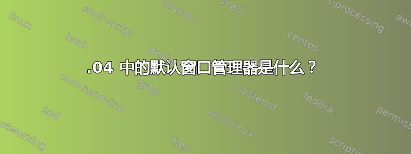 12.04 中的默认窗口管理器是什么？