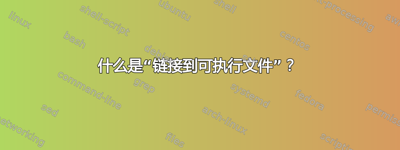 什么是“链接到可执行文件”？