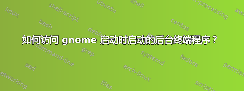 如何访问 gnome 启动时启动的后台终端程序？