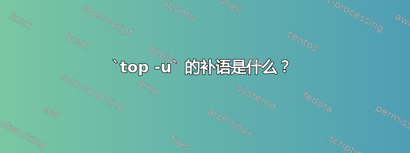 `top -u` 的补语是什么？