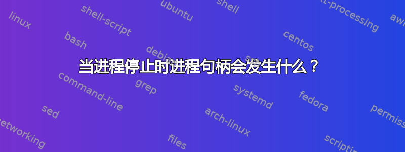 当进程停止时进程句柄会发生什么？