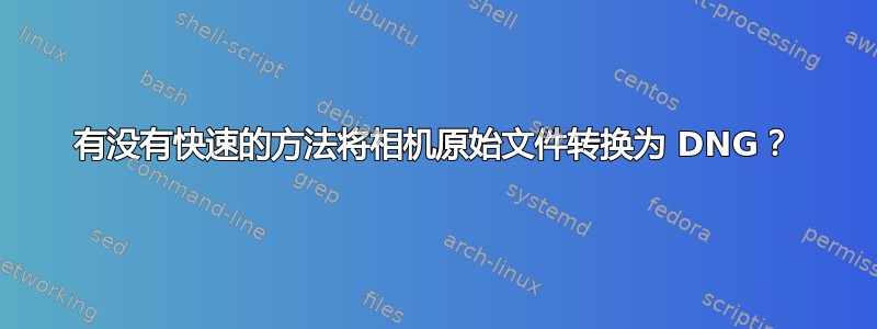 有没有快速的方法将相机原始文件转换为 DNG？