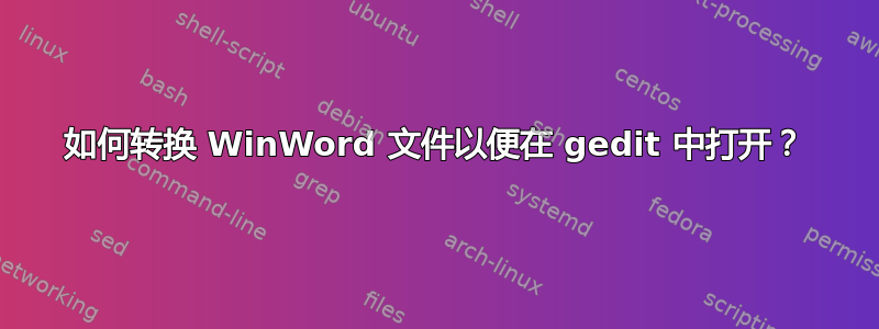 如何转换 WinWord 文件以便在 gedit 中打开？