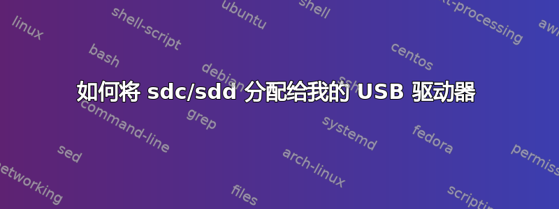 如何将 sdc/sdd 分配给我的 USB 驱动器