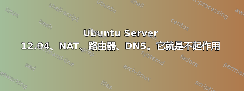 Ubuntu Server 12.04、NAT、路由器、DNS。它就是不起作用